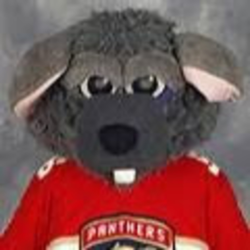 Meet your Posher, Vito